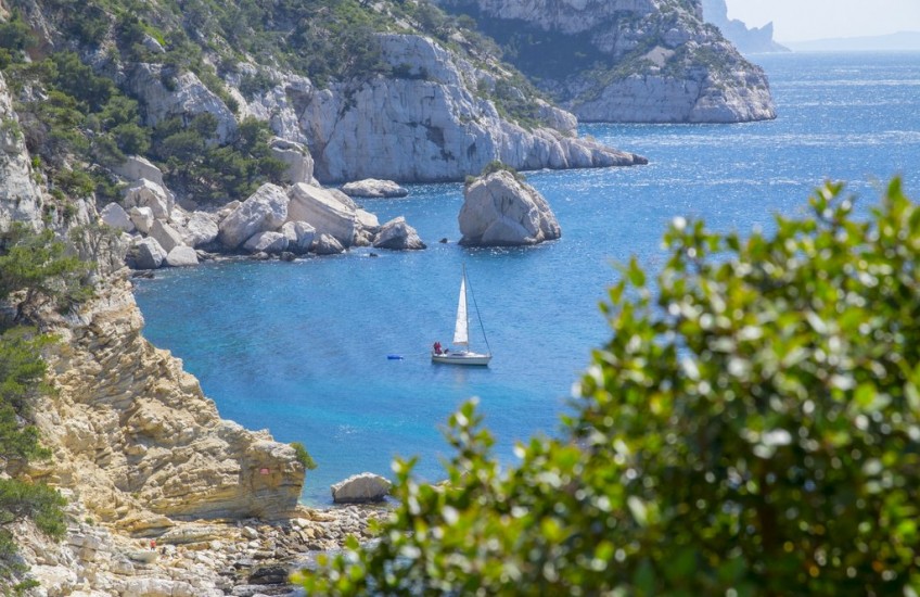 Les_Dauphins_les_calanques_de_Cassis